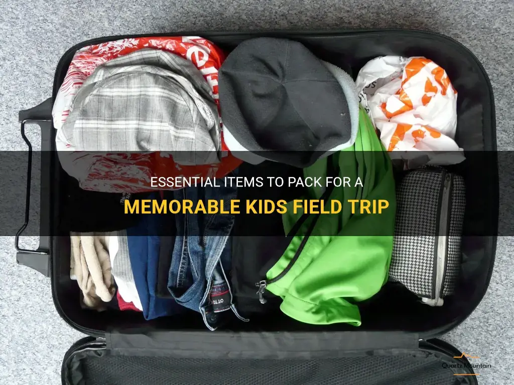 what to pack for a kids field trip