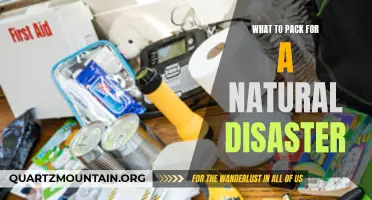 Essential Items to Include in Your Natural Disaster Emergency Kit