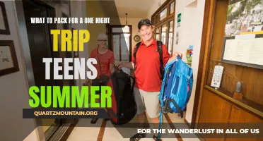 Essential Items for a Memorable Teen Summer Trip: What to Pack for a One Night Getaway