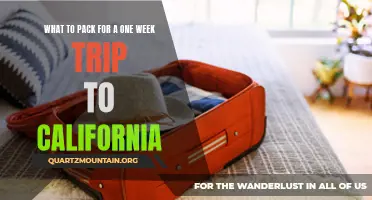 Essential Items to Pack for a Memorable One-Week Trip to California