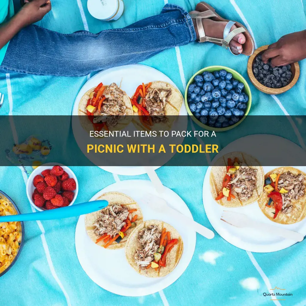what to pack for a picnic with a toddler