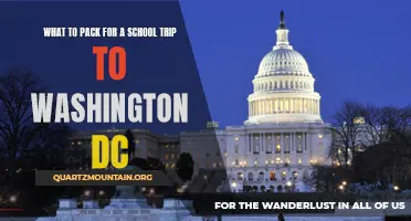 Essential Items to Pack for a School Trip to Washington DC