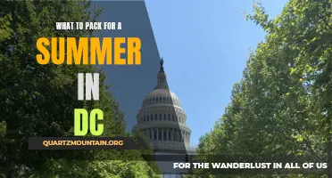 Essential Items for a Memorable Summer in DC: Your Ultimate Packing Guide