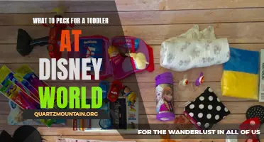 Essential Items to Pack for a Toddler Adventure at Disney World
