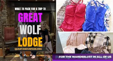 Must-Have Essentials for a Trip to Great Wolf Lodge
