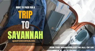 Essential Items to Pack for a Trip to Savannah: A Comprehensive Guide