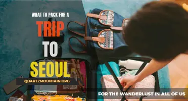 Essential Items for an Unforgettable Trip to Seoul