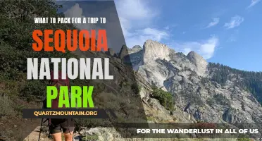 Essential Items to Pack for an Unforgettable Trip to Sequoia National Park