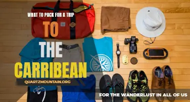 Essential Items to Pack for a Trip to the Caribbean