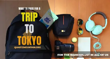 Essential Items to Pack for a Memorable Trip to Tokyo
