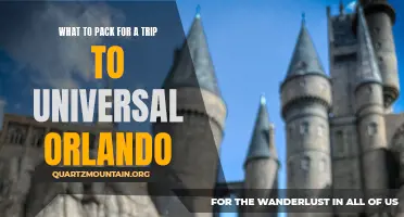 Essential Items to Pack for a Memorable Trip to Universal Orlando
