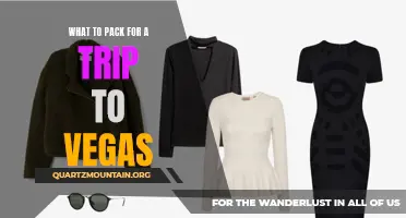 Essential Items to Pack for a Memorable Trip to Vegas