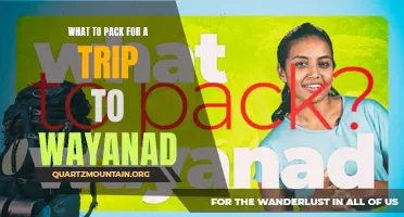 Essential Items to Pack for a Memorable Trip to Wayanad