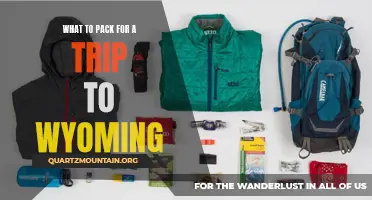 Essential Items to Pack for a Memorable Trip to Wyoming