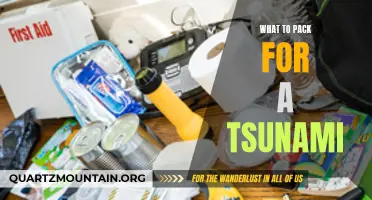 Essential Items to Include in Your Tsunami Emergency Kit