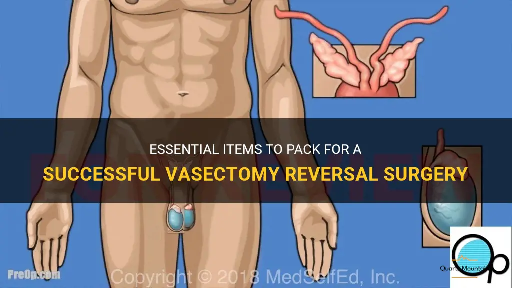 what to pack for a vasectomy reversal