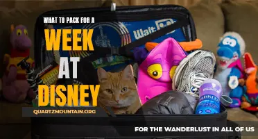 Essential Items to Pack for a Magical Week at Disney
