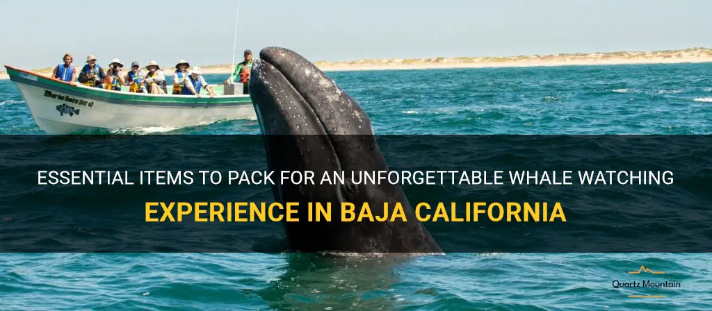 what to pack for a whale watching in baja california