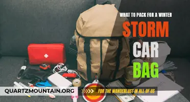 Essential Items for a Winter Storm Car Bag: What to Pack for Safety and Preparedness