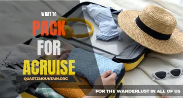 Essential Items to Pack for a Cruise Vacation