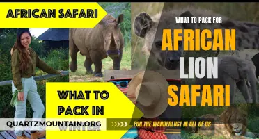 Essential Items to Bring on an African Lion Safari
