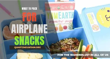 Snack Smart: Essentials for Packing Delicious Airplane Treats
