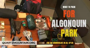 Essential Items to Pack for an Unforgettable Trip to Algonquin Park