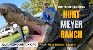 Essential Gear for Alligator Hunting at Meyer Ranch: What to Pack
