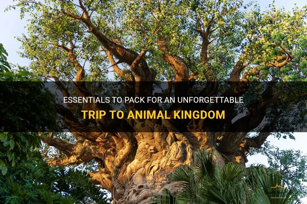 what to pack for animal kingdom