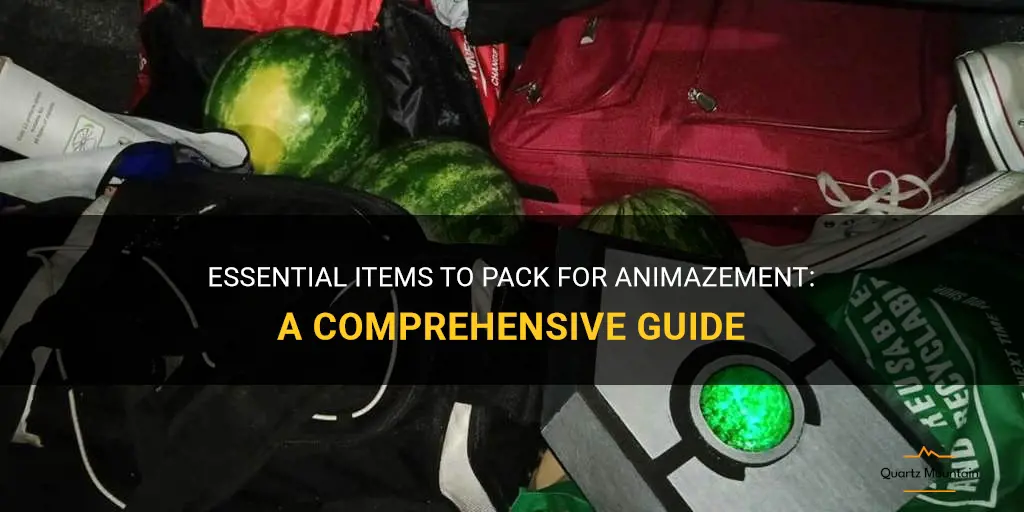 what to pack for animazement