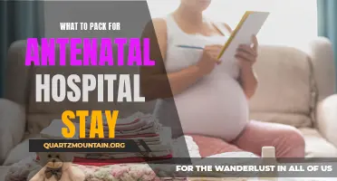 Essential Items to Pack for Your Antenatal Hospital Stay