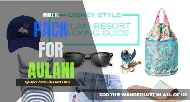 Essential Items to Pack for an Aulani Vacation