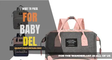 Essential Items to Pack for Your Baby Del for a Smooth Journey