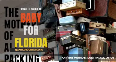 Essential Items to Pack for a Baby Trip to Florida