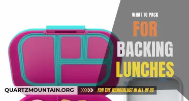Packing a Perfect Back-to-School Lunch: Essential Tips and Tricks
