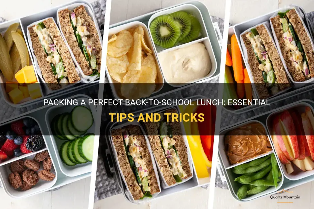 what to pack for backing lunches