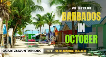 Essential Items for Your October Trip to Barbados