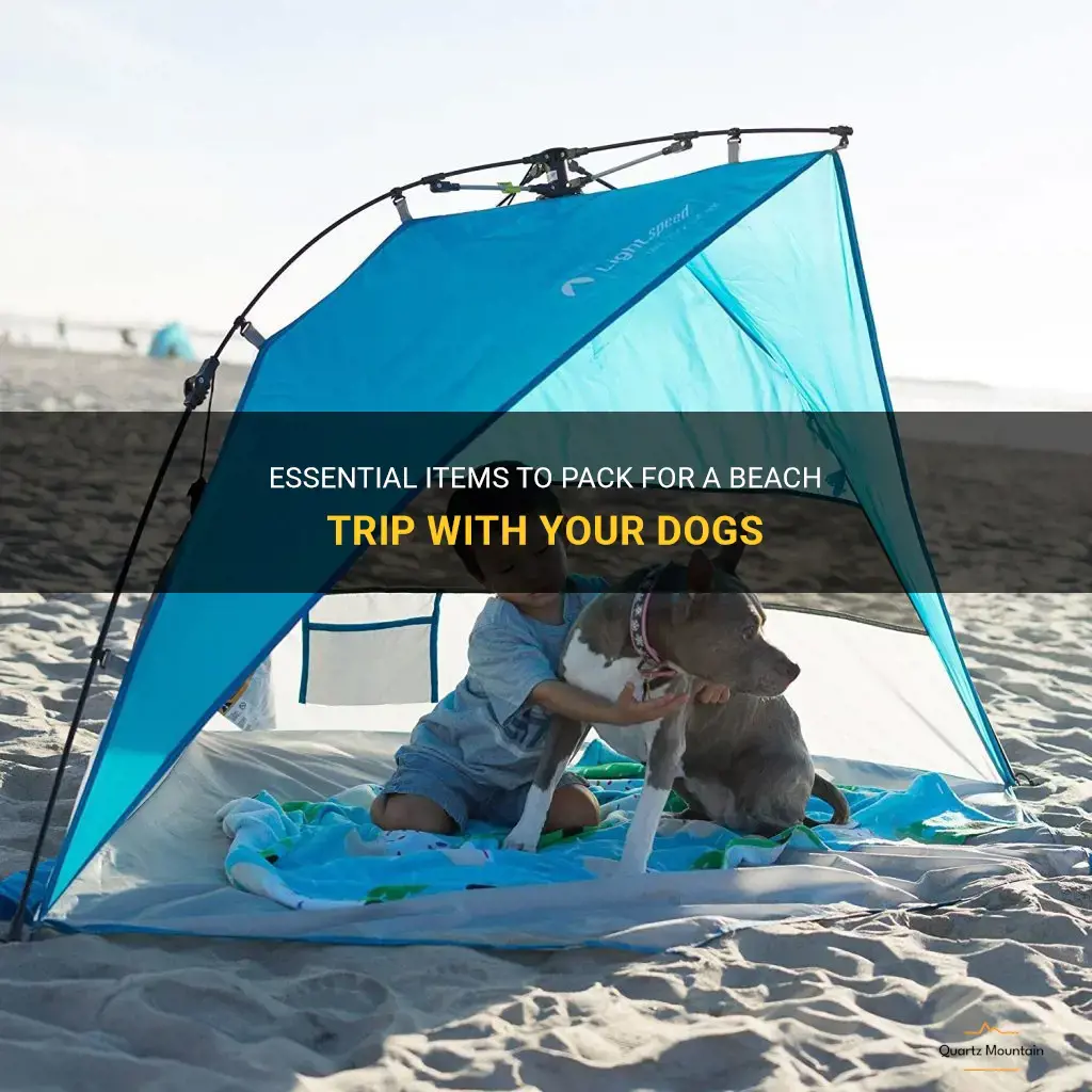what to pack for beach trip with dogs