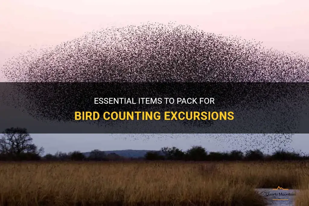 what to pack for bird counting