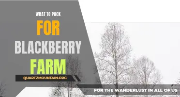 Essential Items to Pack for Your Trip to Blackberry Farm