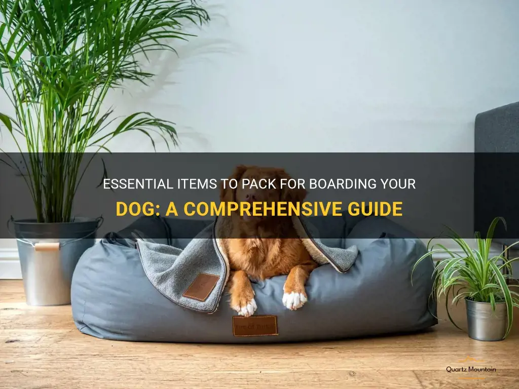what to pack for boarding dog