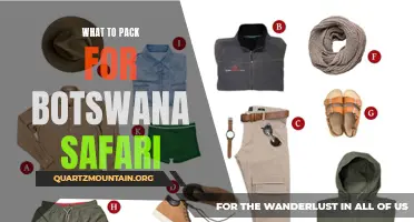 Essential Items to Pack for Your Botswana Safari Adventure
