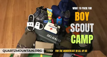 Essential Items for a Successful Boy Scout Camp Experience