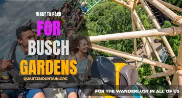 Essential Items to Pack for Busch Gardens: Your Ultimate Guide