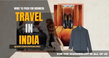 Essential Items to Pack for Business Travel in India