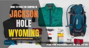 Essential Items to Pack for Camping in Jackson Hole, Wyoming
