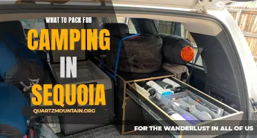 Essential Items to Pack for Camping in Sequoia National Park