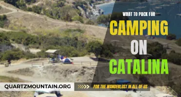 Essential Items for a Memorable Camping Trip on Catalina Island