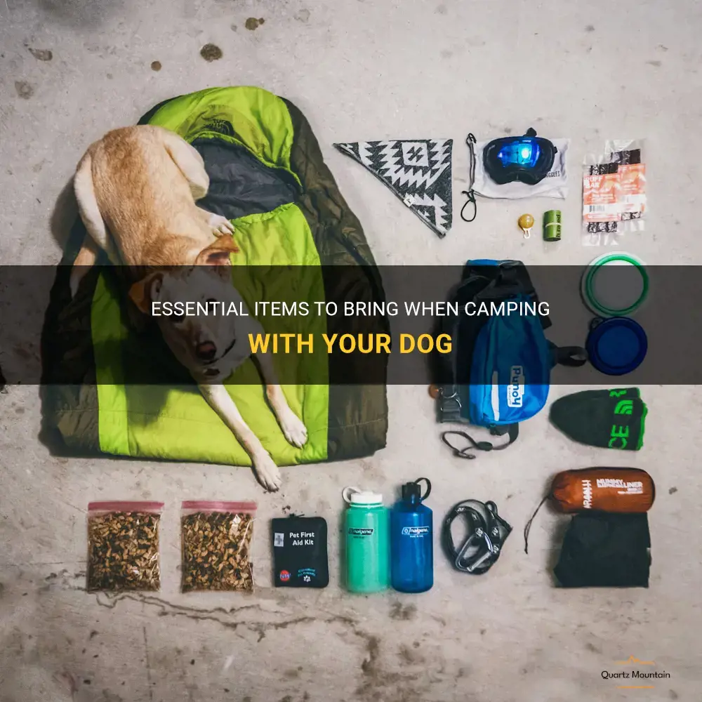 what to pack for camping with dog