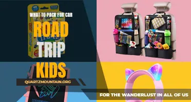 Essential Items to Pack for a Fun-Filled Car Road Trip with Kids